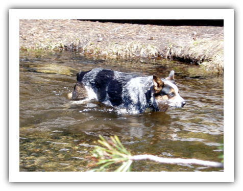Sundae in the creek